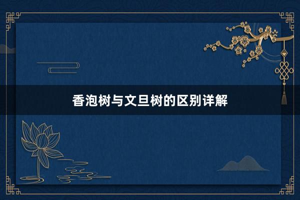 香泡树与文旦树的区别详解
