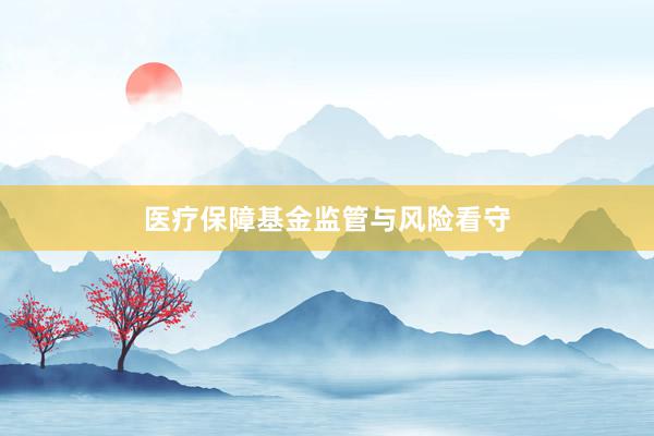 医疗保障基金监管与风险看守