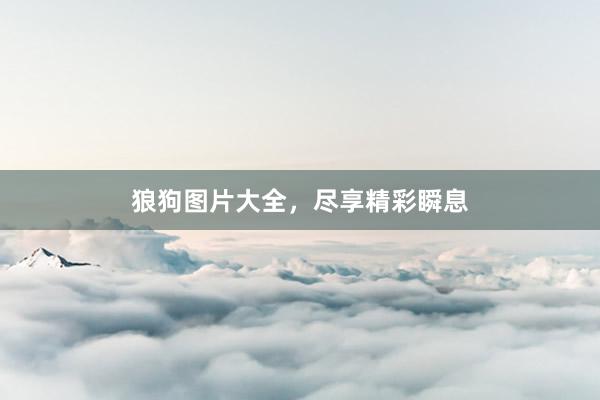 狼狗图片大全，尽享精彩瞬息