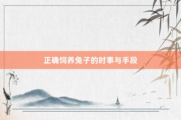 正确饲养兔子的时事与手段