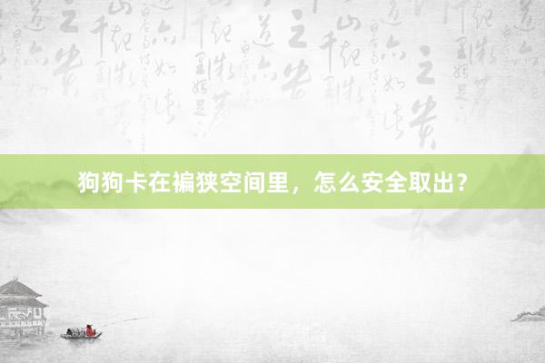 狗狗卡在褊狭空间里，怎么安全取出？