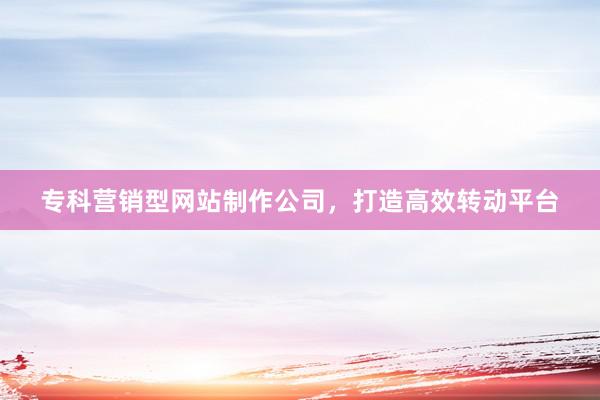 专科营销型网站制作公司，打造高效转动平台